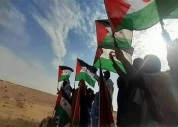 France is playing with fire again in the Security Council regarding Western Sahara – Al-Shorouk Online