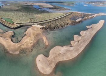 Harwich dredged sediment to recharge Blackwater Estuary foreshore