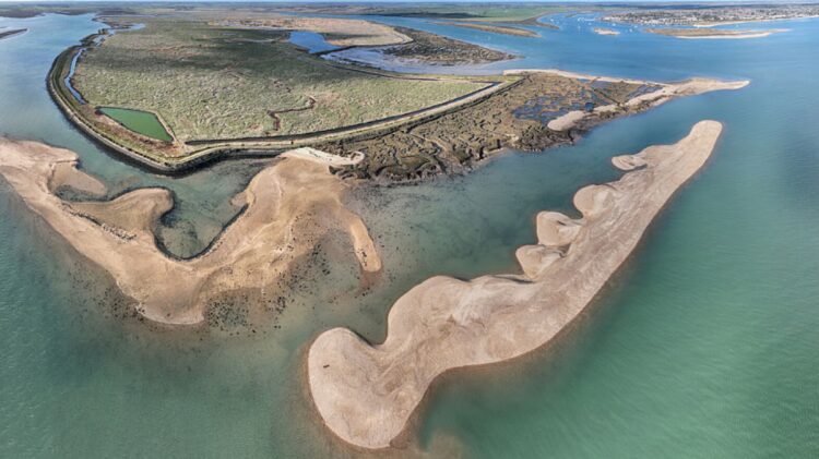 Harwich dredged sediment to recharge Blackwater Estuary foreshore