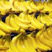 Towards providing bananas produced in the state of Blida in local markets at reasonable prices