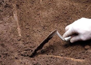 Fossil remains are found in the north of Mitrovica, they are suspected to be of persons who disappeared during the war