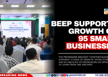 BEEP Supports Growth of 95 Small Businesses