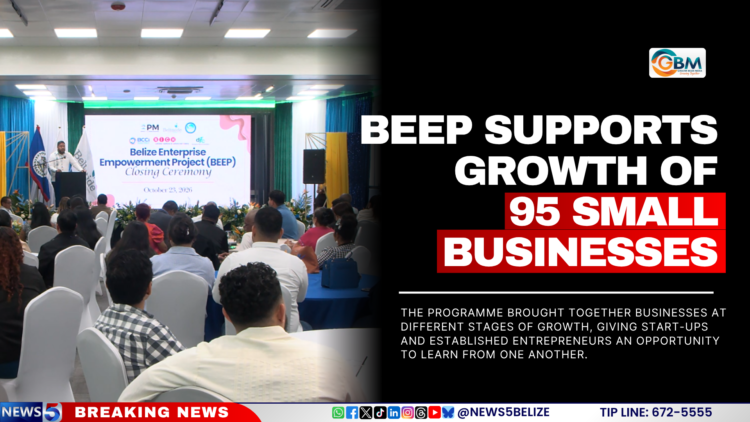 BEEP Supports Growth of 95 Small Businesses