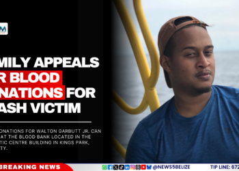 Family Appeals for Blood Donations for Crash Victim