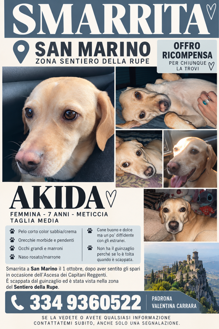 San Marino, missing Akida: appeal to find the 7-year-old dog