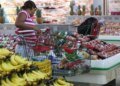 Cost of the basic basket remains ‘stable’, but could rise at the end of the year