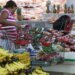 Cost of the basic basket remains ‘stable’, but could rise at the end of the year