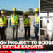 $3 Million Project to Boost Belize’s Cattle Exports
