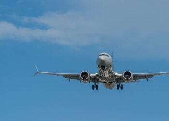 A Boeing 737 was dropped on the seabed, then this strange white animal moved in