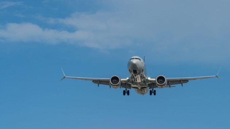 A Boeing 737 was dropped on the seabed, then this strange white animal moved in