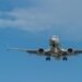 A Boeing 737 was dropped on the seabed, then this strange white animal moved in