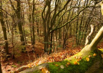 Swiss October weather warmer and drier than average