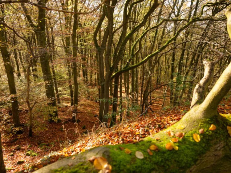 Swiss October weather warmer and drier than average