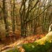 Swiss October weather warmer and drier than average