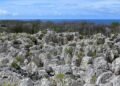 The island where birds built mountains