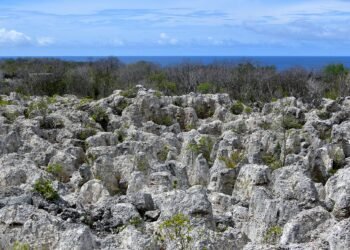 The island where birds built mountains