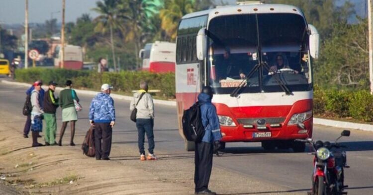 Assaults: They try to assault a bus that was going to La Cuevita