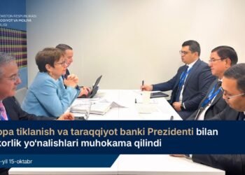 Uzbekistan, EBRD discuss privatization, SME financing, energy and transport