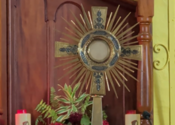 LIVE: Novena in Honour of Our Lady of Fatima night 5