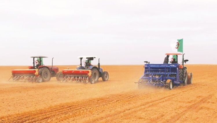 Targeting the cultivation of 2,090 hectares of dry legumes in Setif – Shorouk Online