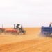 Targeting the cultivation of 2,090 hectares of dry legumes in Setif – Shorouk Online