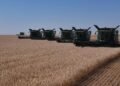 Kazakhstan’s rail grain shipments rise 12% in nine months