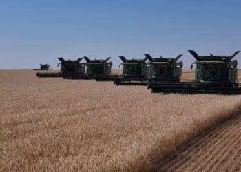 Kazakhstan’s rail grain shipments rise 12% in nine months