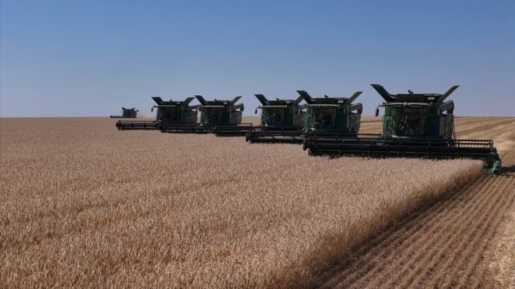 Kazakhstan’s rail grain shipments rise 12% in nine months