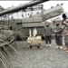 The military delegation of the Ministry of Defense participated in the “Center-2026” strategic military exercises of Russia