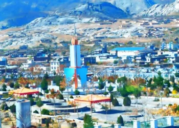 Daikandi; Nellie Municipality’s revenue increased by 15 percent