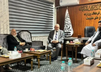 The Minister of Culture and Art met with the head of “Tika” Institute in Kabul