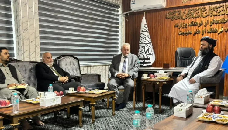 The Minister of Culture and Art met with the head of “Tika” Institute in Kabul