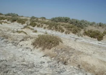 The extraction of salt mine worth 15 million Afghanis has started in Farah