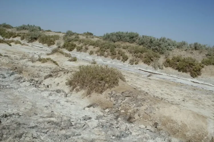 The extraction of salt mine worth 15 million Afghanis has started in Farah