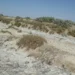 The extraction of salt mine worth 15 million Afghanis has started in Farah