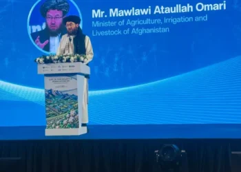 Minister of Agriculture: Afghanistan is ready to develop agricultural cooperation and joint investment with Uzbekistan