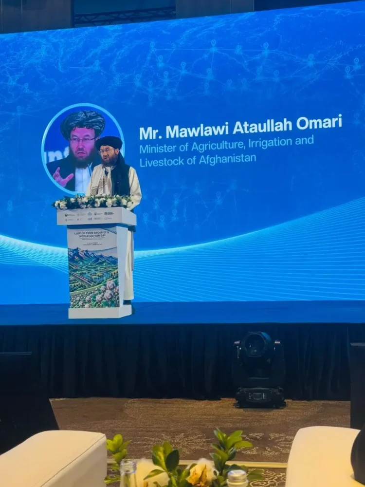 Minister of Agriculture: Afghanistan is ready to develop agricultural cooperation and joint investment with Uzbekistan