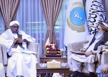 The Minister of Public Health met with the Deputy Director of the Organization of Islamic Cooperation