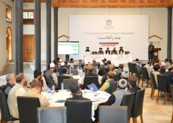 Ministry of Foreign Affairs: Some procedures in consular affairs have been simplified and this series will be extended to other areas as well.