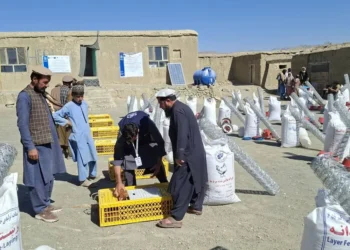 Small poultry farms were built for 54 families in Paktika