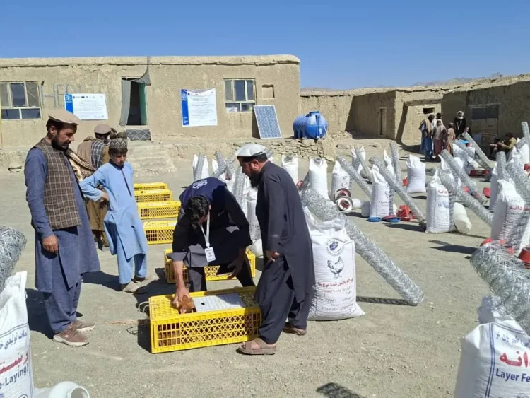 Small poultry farms were built for 54 families in Paktika