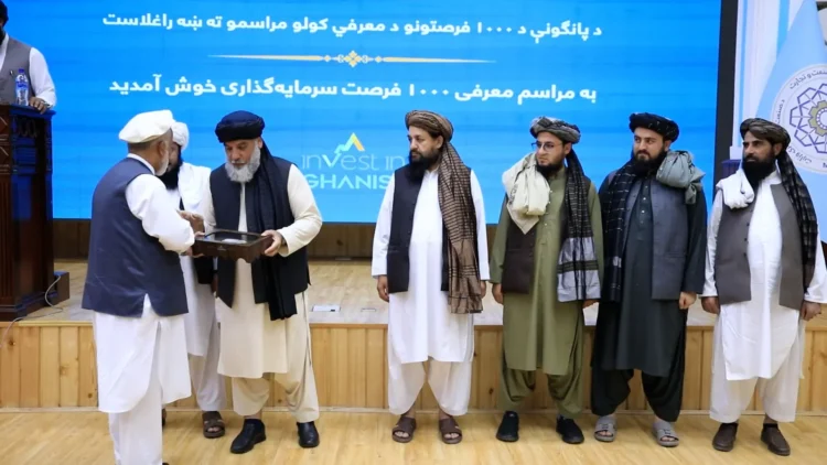 1000 investment opportunities were introduced in 10 sectors