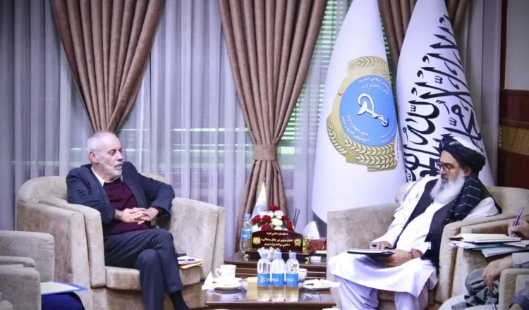 Minister of Public Health: Humanitarian and health aid should not be tied to political issues