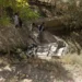 Six people were injured in a traffic accident in Badakhshan