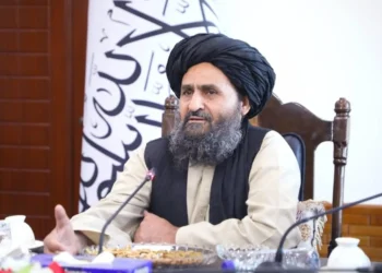 17 projects worth around 5 billion Afghanis have been approved