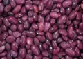 Nearly 1,500 metric tons of beans have been collected in Panjsher