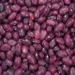 Nearly 1,500 metric tons of beans have been collected in Panjsher