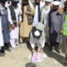 Construction of three small dams has started in Paktia at a cost of 226 thousand dollars