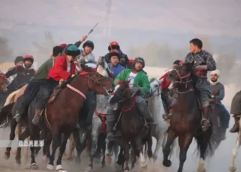 A wrestling competition was held between 50 chapandaz in Samangan