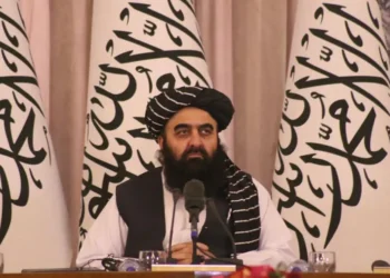 Muttaqi: If the international community does not pay attention to the prevention of drug cultivation and trafficking in the neighborhood of Afghanistan, then the fight against these drugs will remain incomplete.